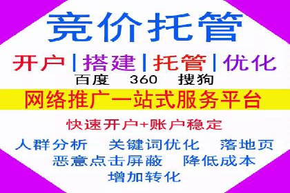 SEM代理服务：助力企业精准营销案例解析